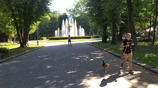 Львів 2022: фонтан Івасик-Телесик у Стрийському парку у Львові