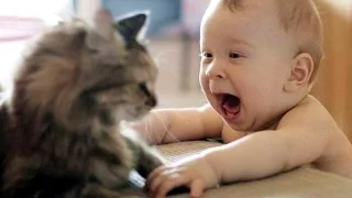 Cat Playing with Baby - Best of Cute Cats Love Babies Compilation