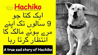Hachiko ki Kahani || Hachiko a dog story Urdu/Hindi || Urdu Genius World