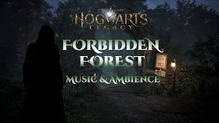 Forbidden Forest | Harry Potter Hogwarts Legacy Cinematic Ambience