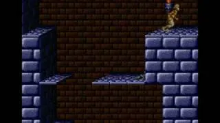 The Quiet Levels (SNES Prince of Persia Hack) Level 1