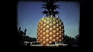 Big Pineapple in 1983
