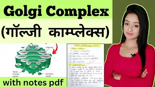 Cell biology (L-9),Golgi complex bsc 1st year zoology in Hindi notes  knowledge adda lion batch