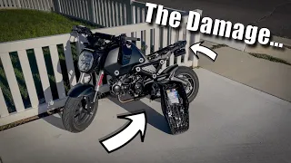 I Wrecked My BRAND NEW Honda Grom….