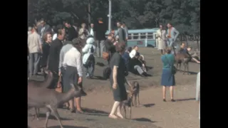 Nara 1964 archive footage