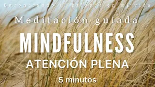 MINDFULNESS meditación guiada 🙏🏼 - Práctica de 5 minutos