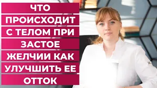 Что происходит с телом при застое желчи.Как улучшить ее отток