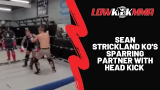 Sean Strickland KO's Sparring Partner With Head Kick