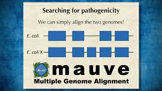 Genome Assembly 3: Assembling genomes from sequence data