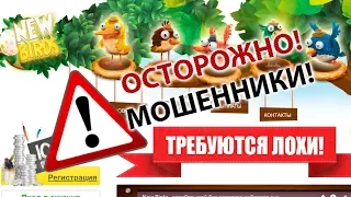 New Birds - лохотрон и развод (ИНТЕРНЕТ-ПОМОЙКА #3)