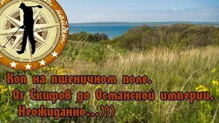 Коп на пшеничном поле. От скифов до османской империи. Неожиданно)))