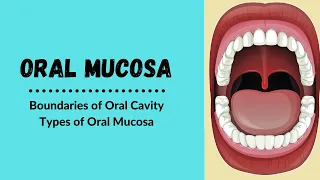 Oral cavity Boundaries | Types of oral mucosa