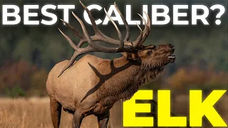 Best Caliber for Elk Hunting | Full Guide