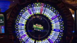 Crown Casino gamble the Big Wheel 51 to 1 won - Crown Casino Melbourne Australia