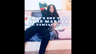 That's Not True - Skip Marley Ft. Damian Marley Lyrics