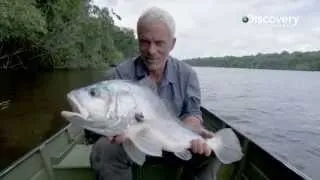 Man-eating Monster | River Monsters 6