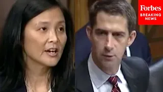 'Really Is Inappropriate': Tom Cotton Grills Biden Nominee Jennifer Sung Over Controversial Letter