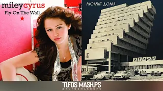 Sudno On The Wall | Miley Cyrus vs. Molchat Doma | Tufos Mashups