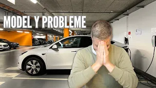 MODEL Y PROBLEME - BEST OF TESLA AUSSAGEN - SeC ERFAHRUNGEN 😡😩🤯🙏