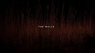 Antoine Flipo - The Walls (Official Video)