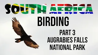 South Africa Birding Part 3 Augrabies Falls National Park