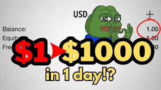 $1 to $1000 in 1 Day | Highest Accuracy Trading Strategy