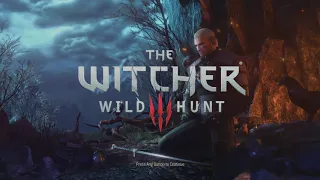 The Witcher 3 Wild Hunt Captured On PS5 SSD Loading Time Test