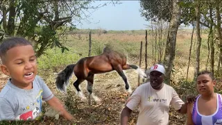 Ami hijo le salió el caballo sin cabeza