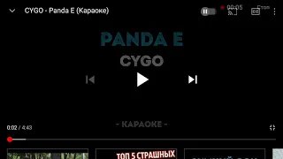 Panda E в маём исполнение