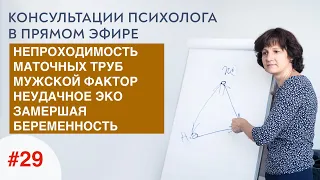 38 лет, непроходимость труб, мужской фактор, неудачное ЭКО, замершая беременность.