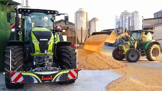 Pastone mais | Claas Tucano 320-Axion 850-Arion 550 | John Deere 6120 | Landini | Deutz Fahr | LISA