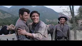 Elvis''Love Me Tender'' movie clips AI new colourised