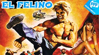 EL FELINO | Película Completa de Acción y Artes Marciales en Español