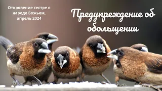 ‼️🕊️Видение. Предупреждение об обольщении для народа Божьего. Апрель 2024