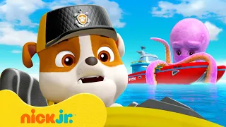 akcje ratunkowe Rubble'a, wymagające największej odwagi! | 1-godzinna składanka | Nick Jr. Polska