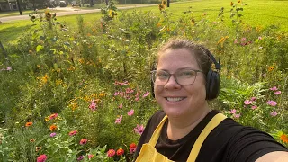 My May 2024 Wildflower Garden