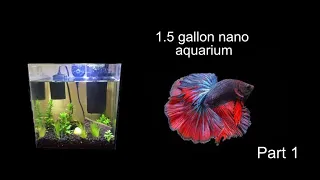 1.5 gallon planted nano shrimp aquarium