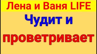 Лена и Ваня LIFE. Чудит.  Обзор влогов. 09 06 2023 Лена