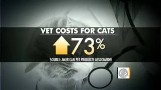 Rising vet bills in a tough economy