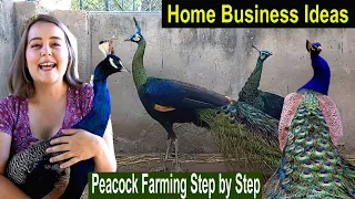 How to Make Money at Home - Peacock Farming Business Ideas - How to Start Business Peafowl Farm