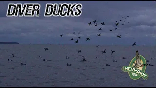 Open Water Diver Duck Hunt (3 man limit)