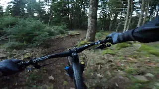 Orchidea Trail New Line 2024 - Kravara Bike Park