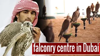 First glimpse inside Sheikh Hamdan’s 'mind-blowing' private falconry centre in Dubai.