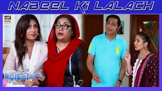 Nabeel ki Lalach Se Khoobsurat Pareshan 😫🤨 Bulbulay S2 | Momo