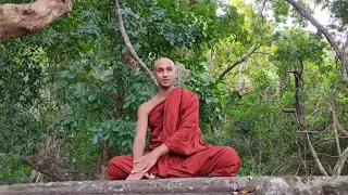 Dhamma Discussion -- Solitude vs. Loneliness | 2020-04-10 | Bhante Joe