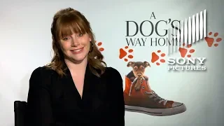 Join A DOG'S WAY HOME for Pet Adoptions!