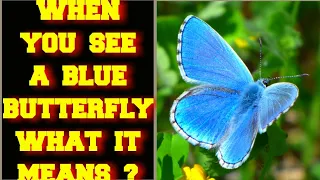 WHEN YOU SEE A BLUE BUTTERFLY WHAT DOES IT MEAN ?