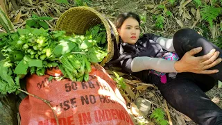 Harvest the Vegetable Go to market to sell - Due to the dangerous terrain, I fell & Get firewood