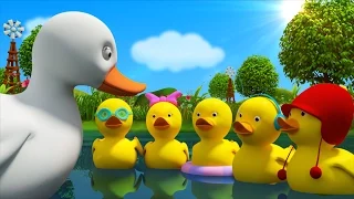 Five Little Ducks | Cartoon Nursery Rhymes For Toddlers | Kids Tv Nursery Rhymes For Children