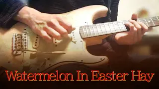 Watermelon In Easter Hay - Frank Zappa [Guitar Cover]